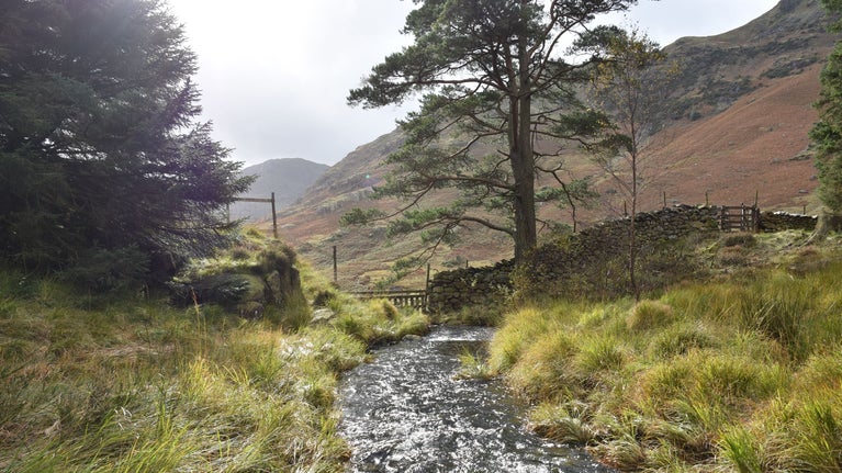 Stream near Blea Tarn in Eskdale and Duddon Valley, Lake District